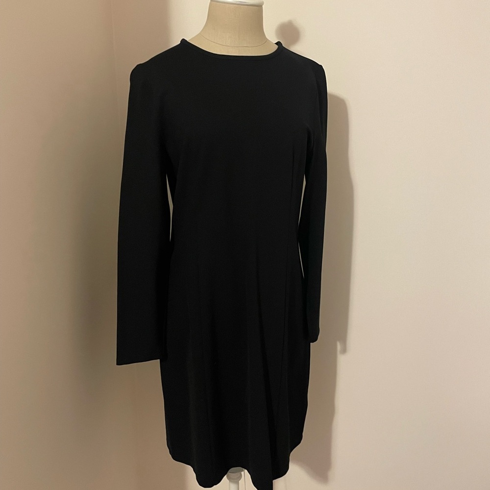 J Crew long sleeve dress